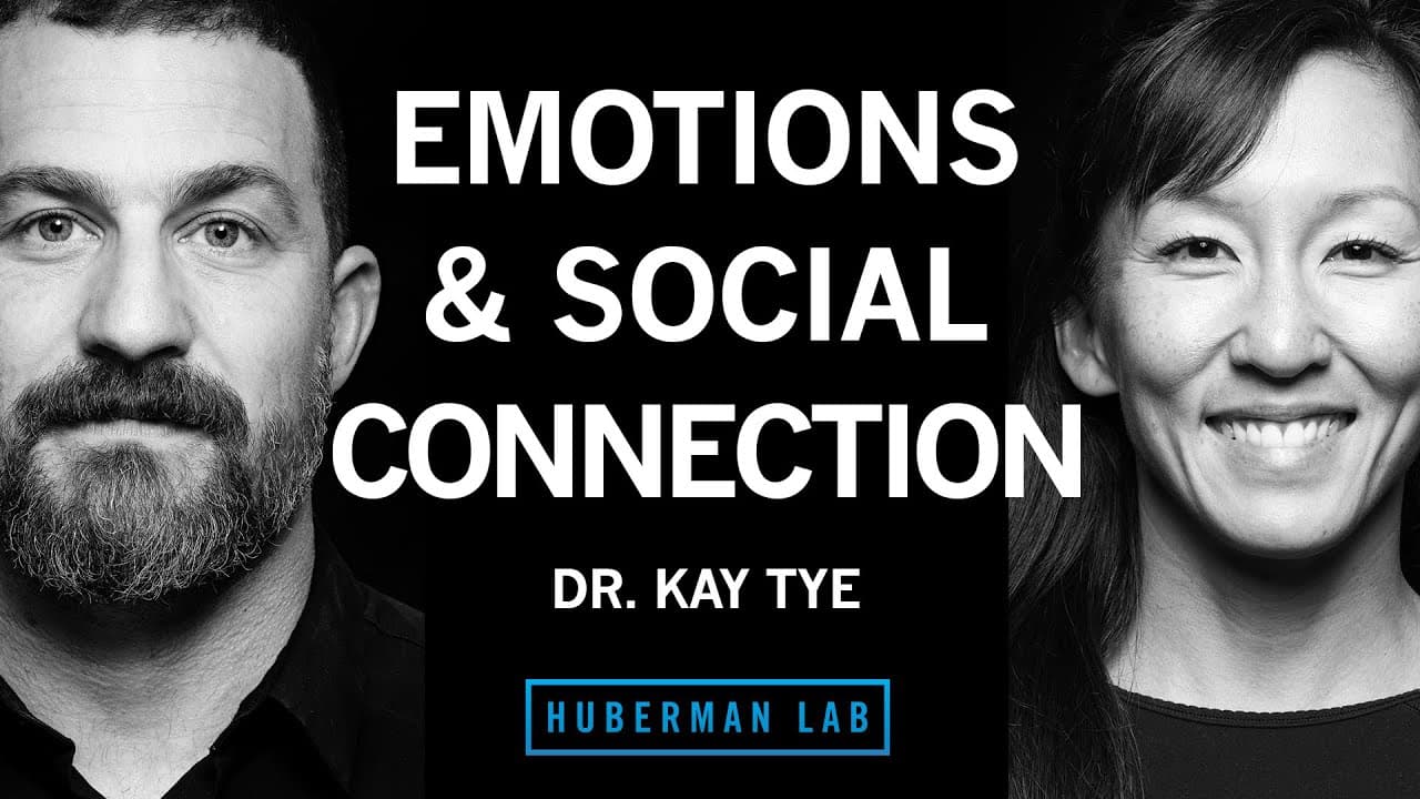 Dr. Kay Tye: The Biology of Social Interactions and Emotions