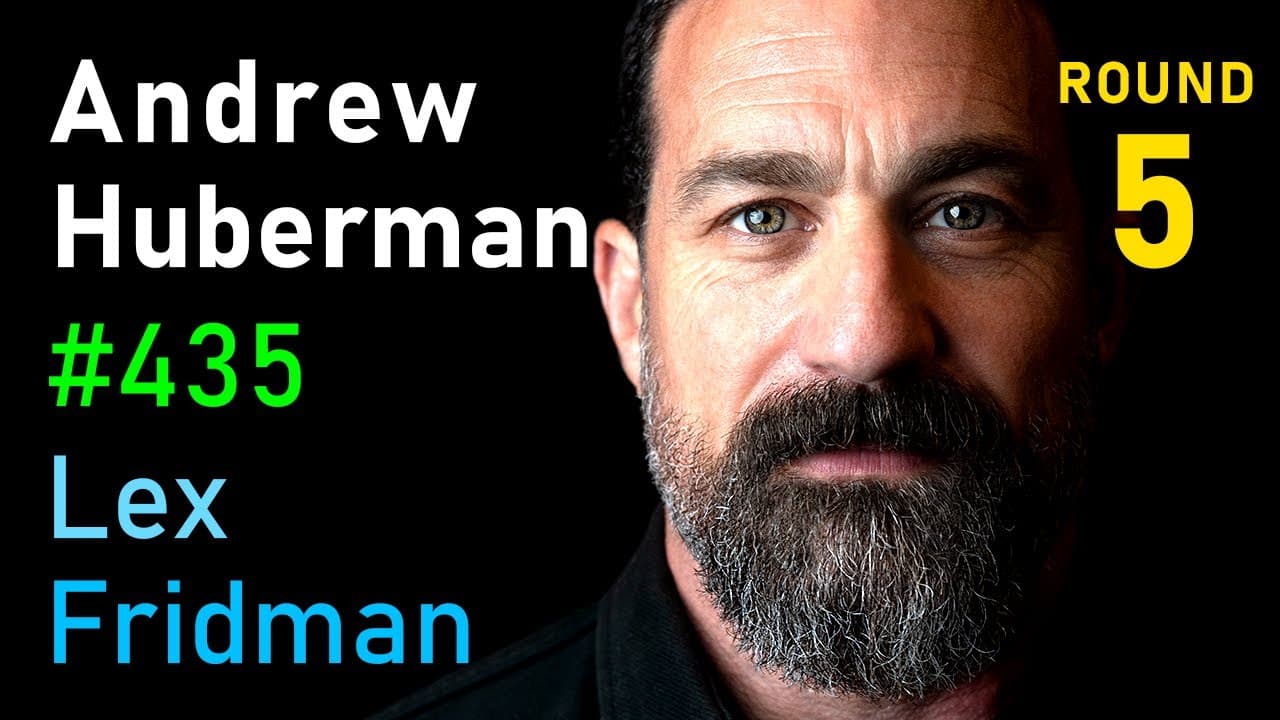 Andrew Huberman: Productivity, Controversy, Politics, and Relationships | Lex Fridman Podcast #435