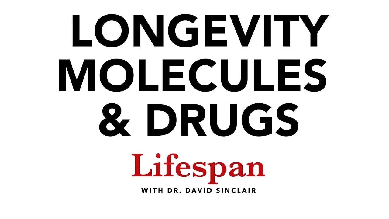 NMN, NR, Resveratrol, Metformin & Other Longevity Molecules | Dr. David Sinclair