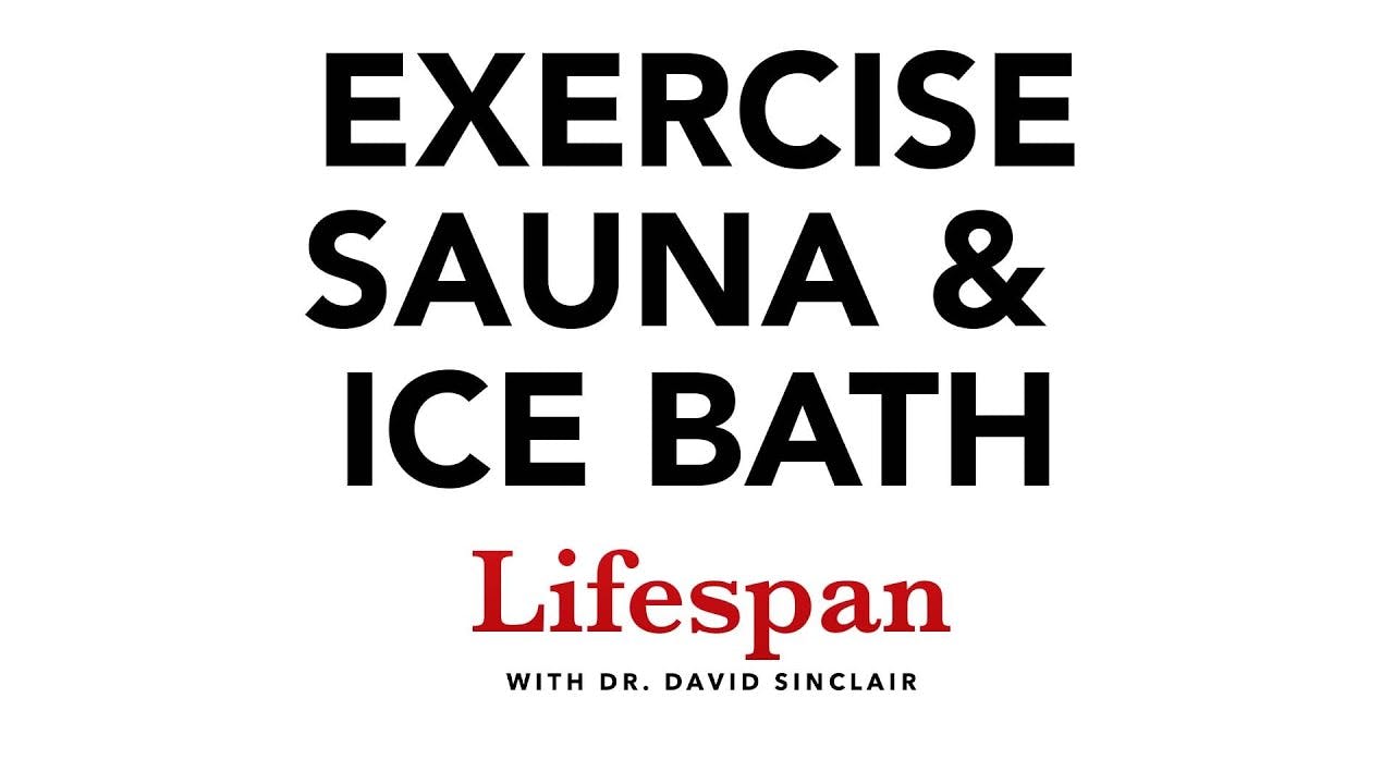 Exercise, Heat, Cold & Other Stressors for Longevity | Lifespan with Dr. David Sinclair #3