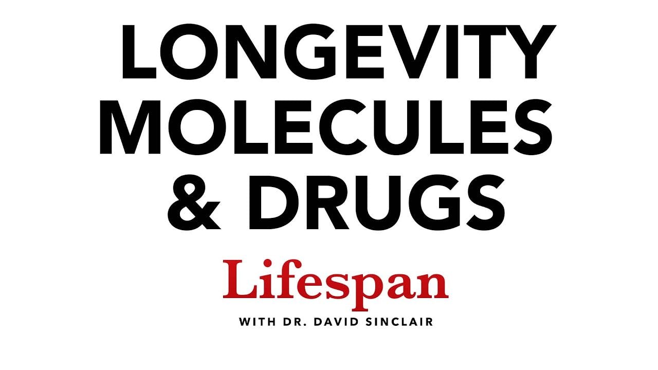 NMN, NR, Resveratrol, Metformin & Other Longevity Molecules | Lifespan with Dr. David Sinclair #4