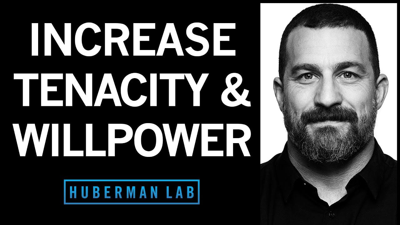 How to Increase Your Willpower & Tenacity | Huberman Lab Podcast