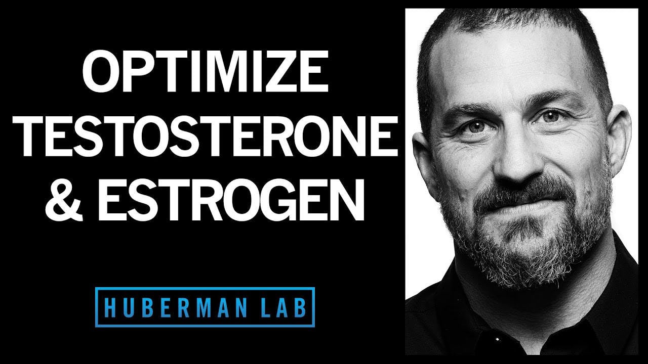 The Science of How to Optimize Testosterone & Estrogen